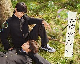 黄南河南外贸网站优化